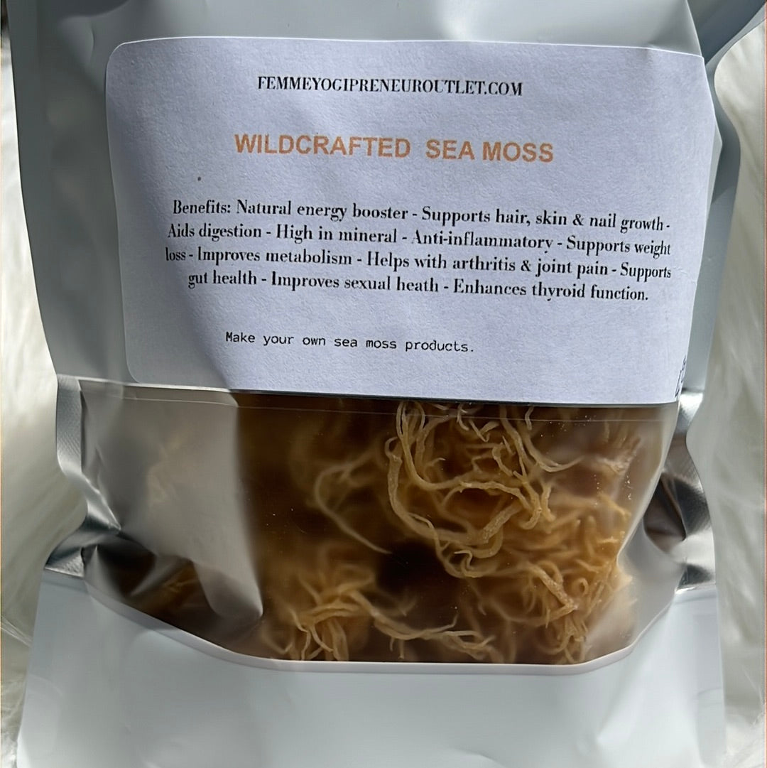 Raw gold Sea moss - Pure Jamaican Sea moss - Genus Gracilaria