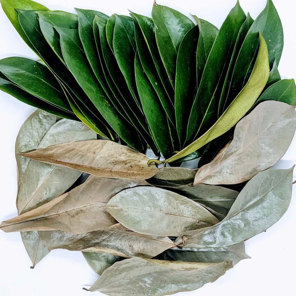 dried soursop leaves - wholifeCo