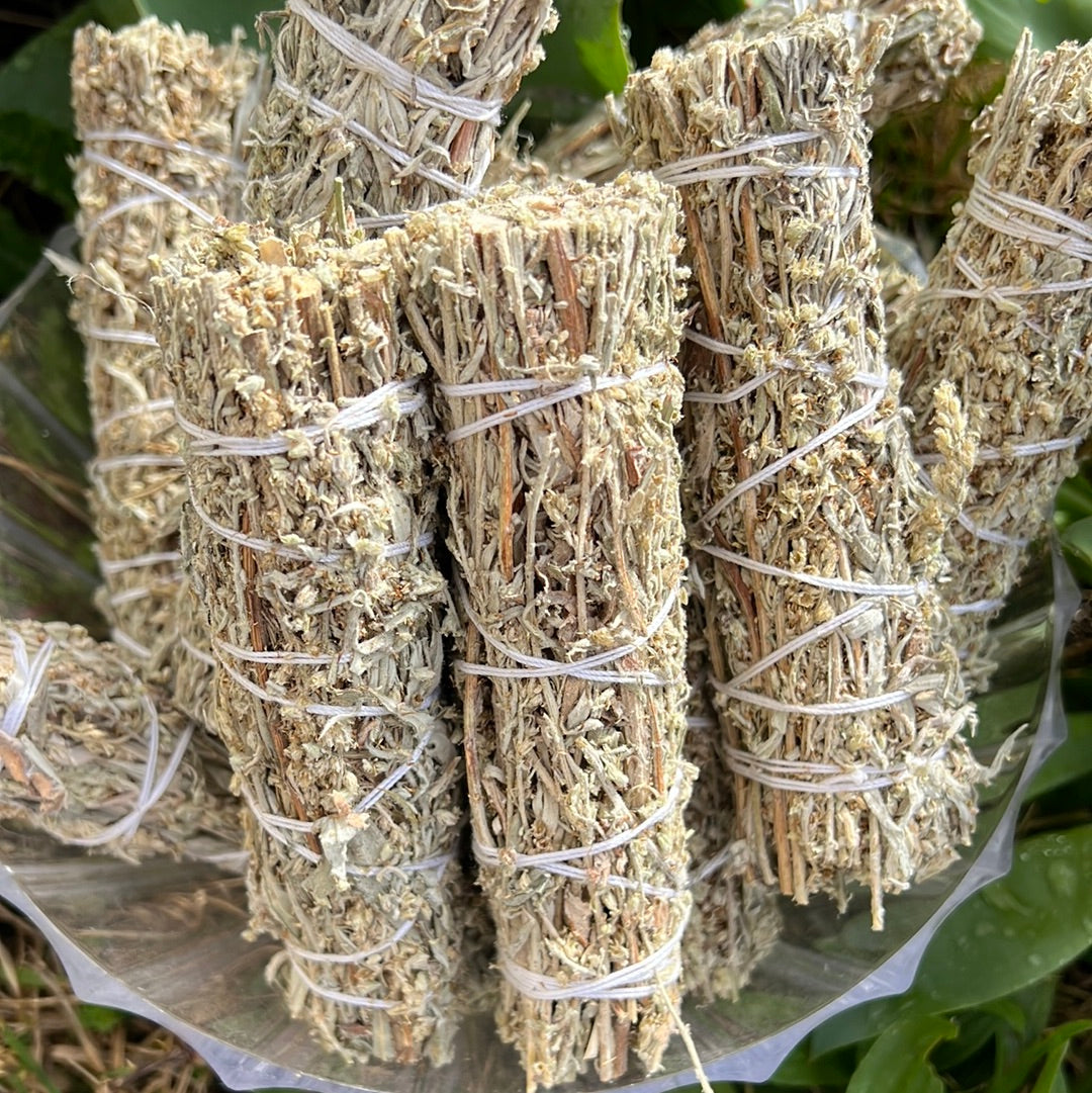 Black Smudge Sage - Mugwort