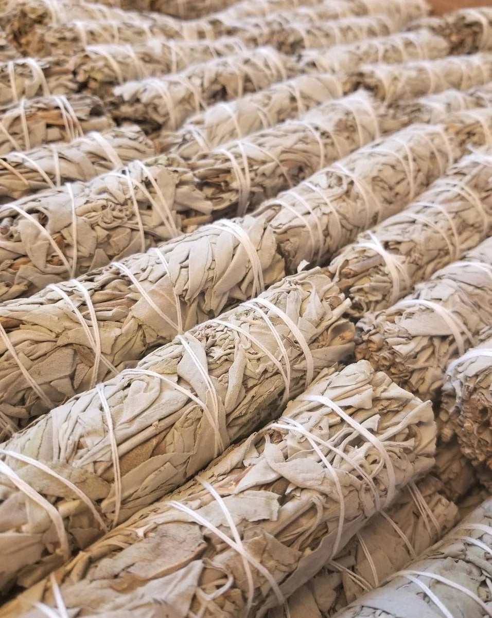 White Sage Smudge Wholesale