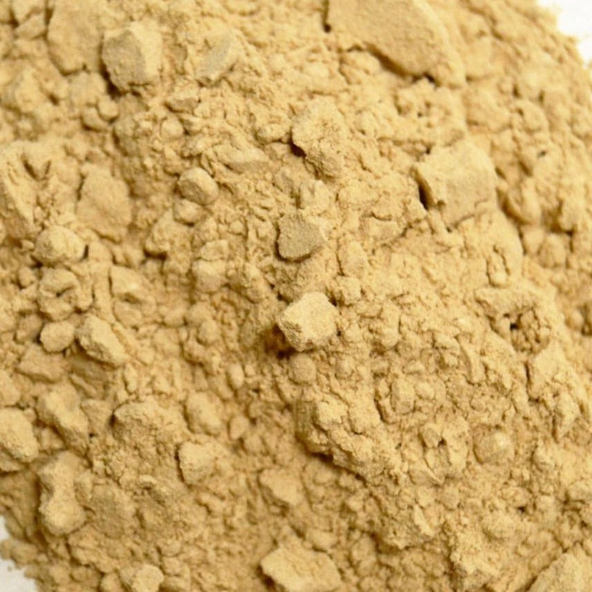 dong quai root powder