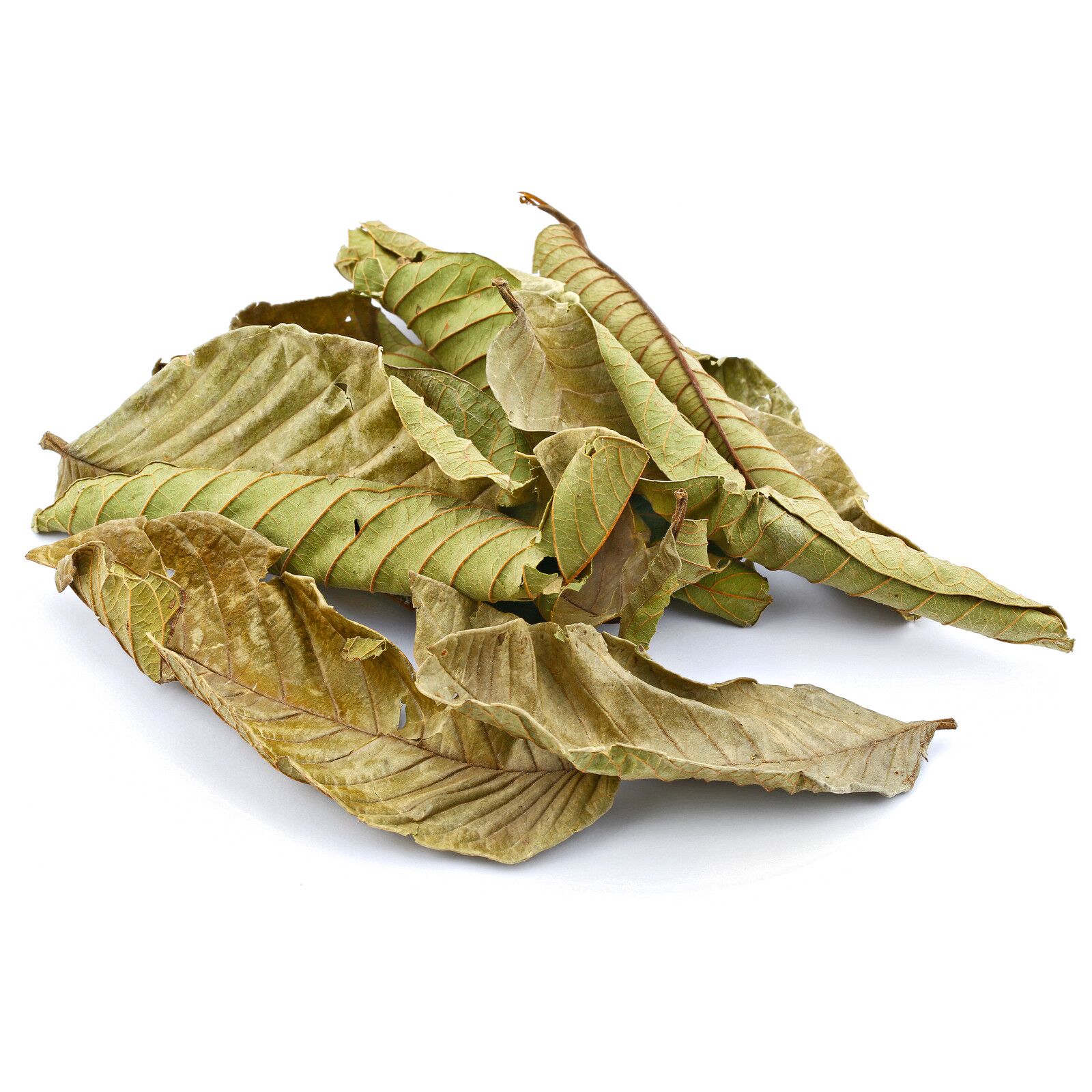 dried guava leaves