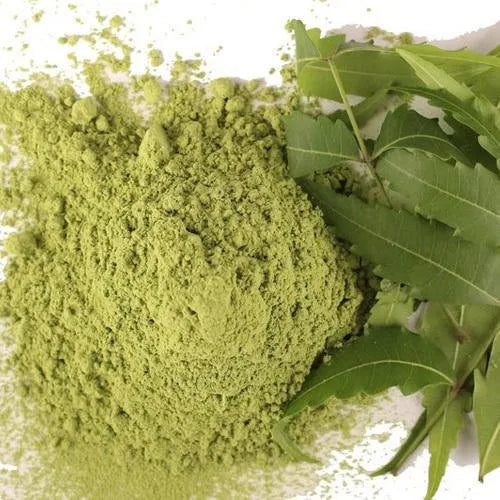 neem leaf powder