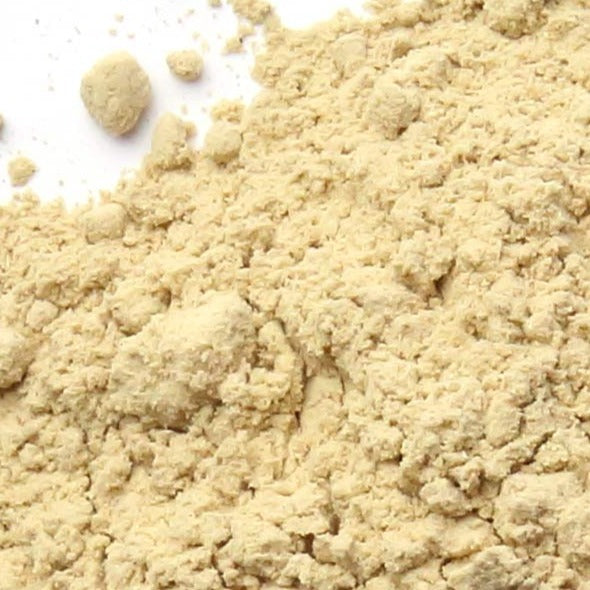 Maitake mushroom Powder