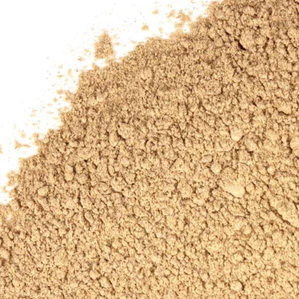 Dandelion root powder