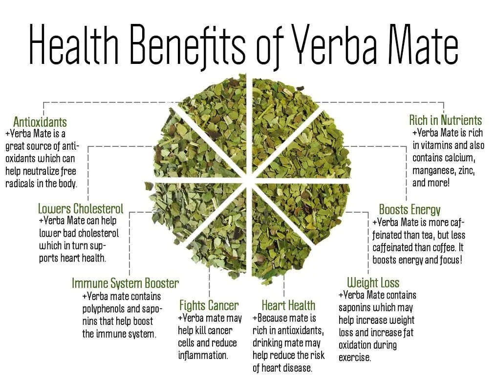 yerba mate benefits