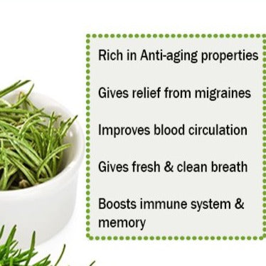 rosemary leaf benefits