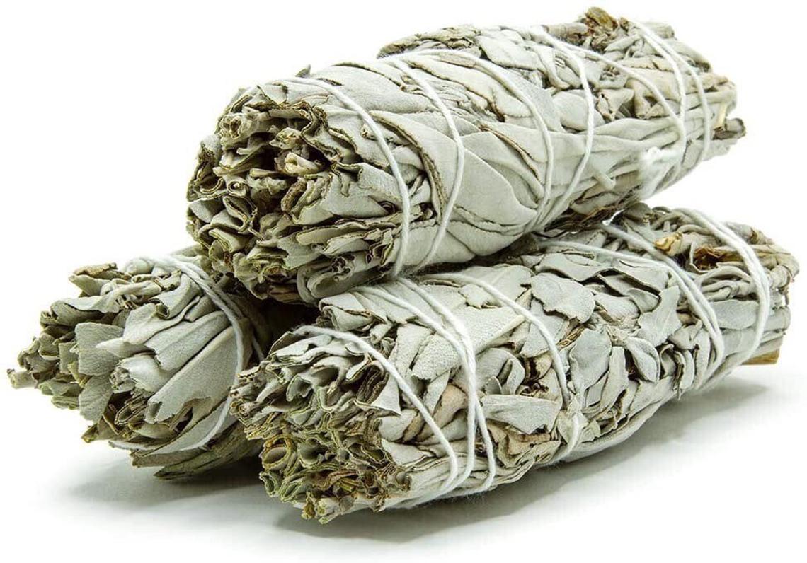 California White sage