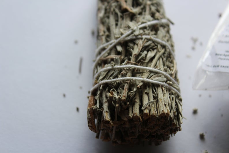 blue sage with white sage stick