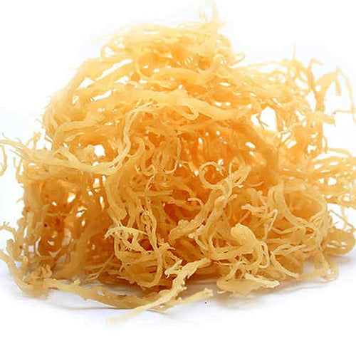 raw gold sea moss near Dayton,ohio