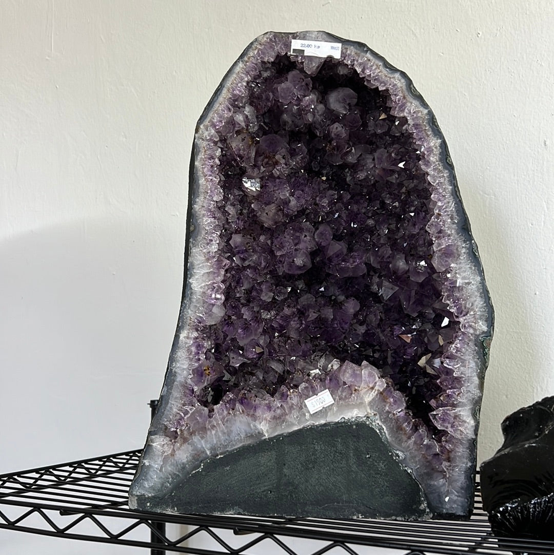 Huge Amethyst Cluster with Base