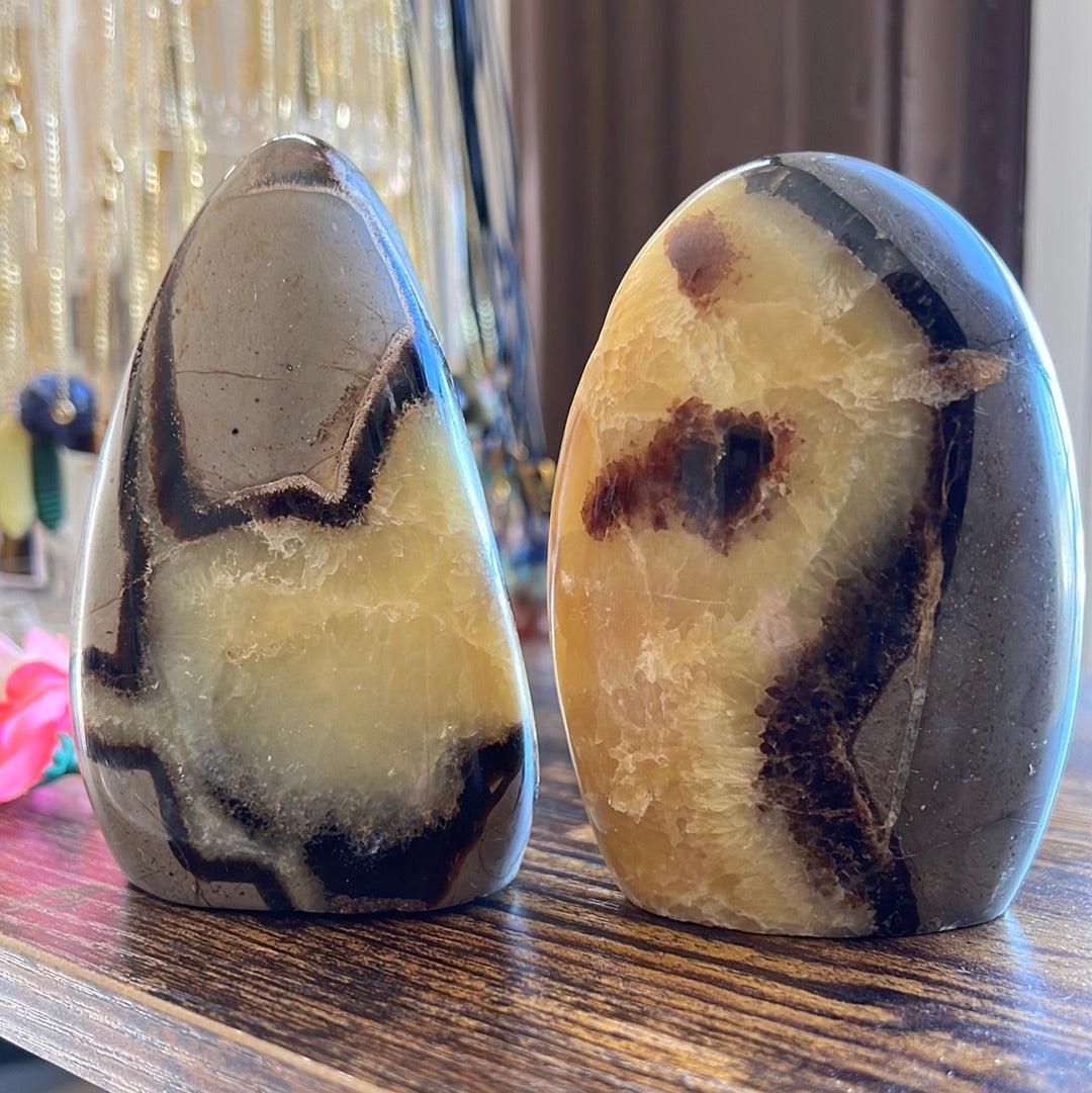 Septarian stone for Home decor