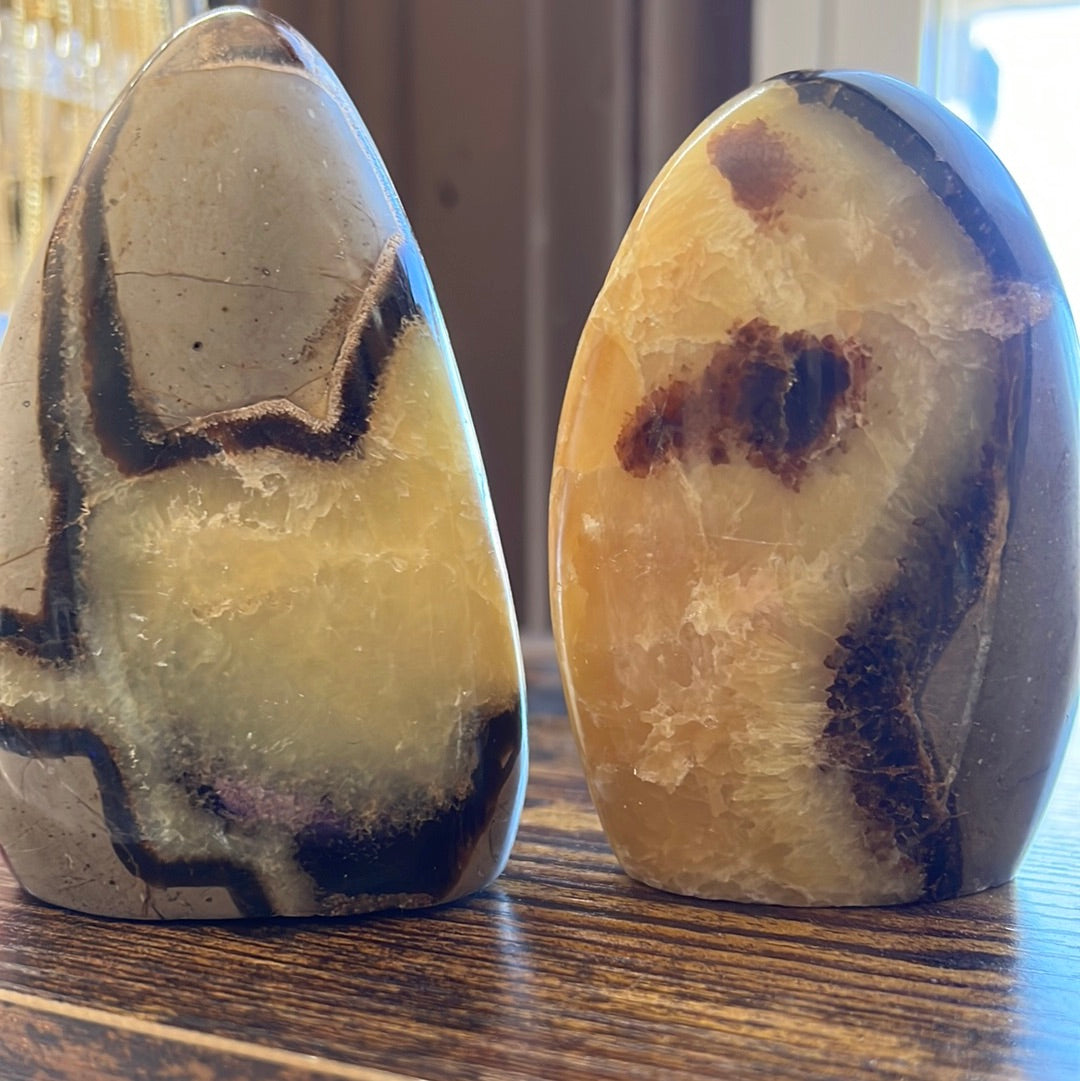 Septarian stone for Home decor