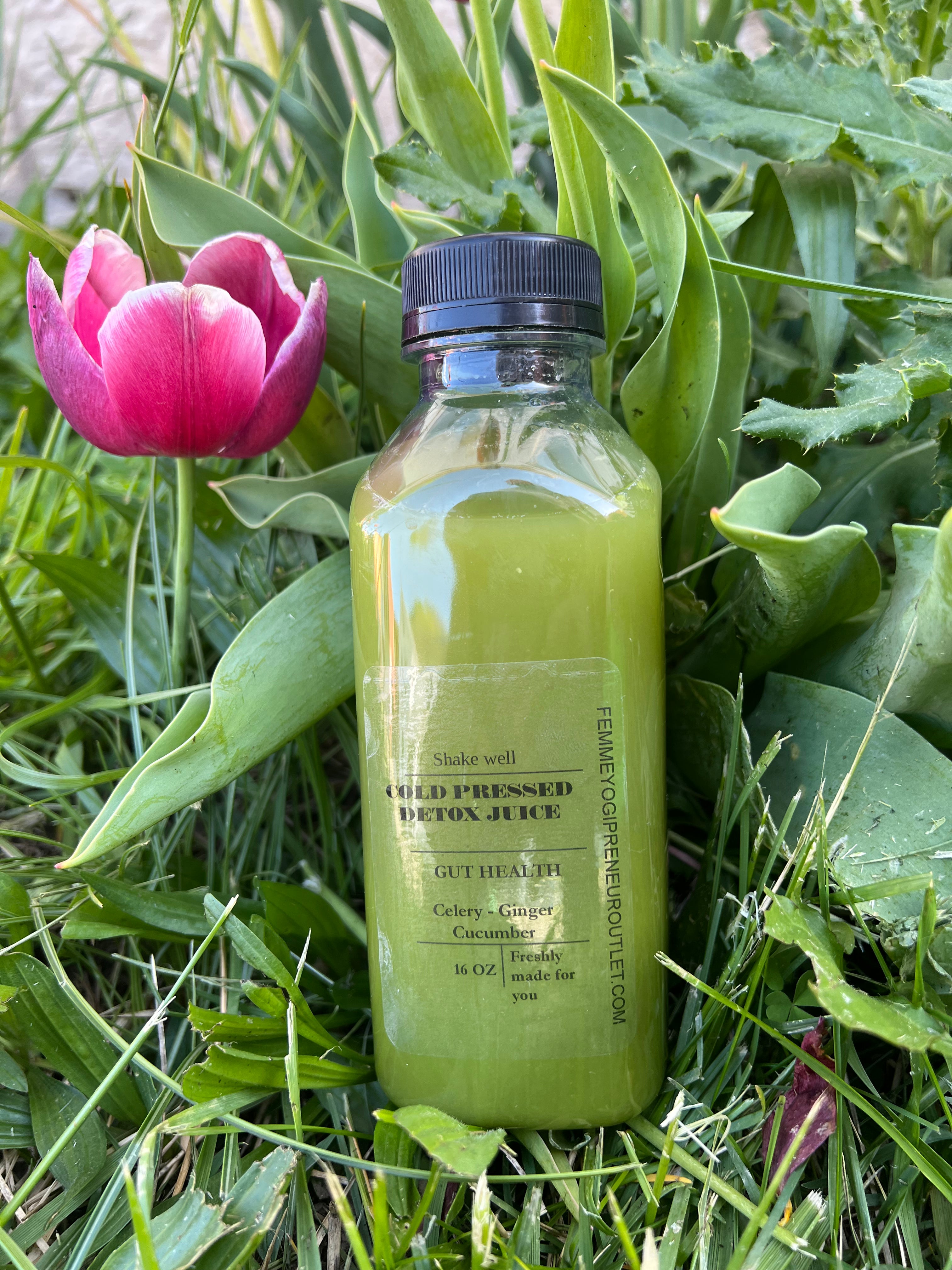 green detox juice made with celery and ginger