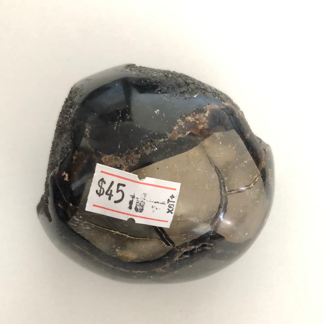 Septarian Dragon egg