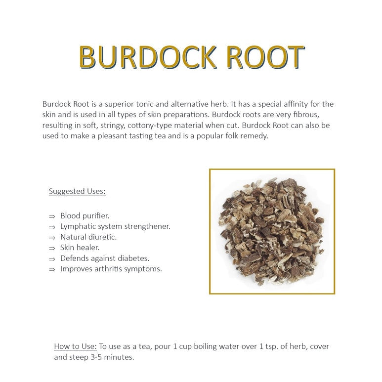 burdock root benefits