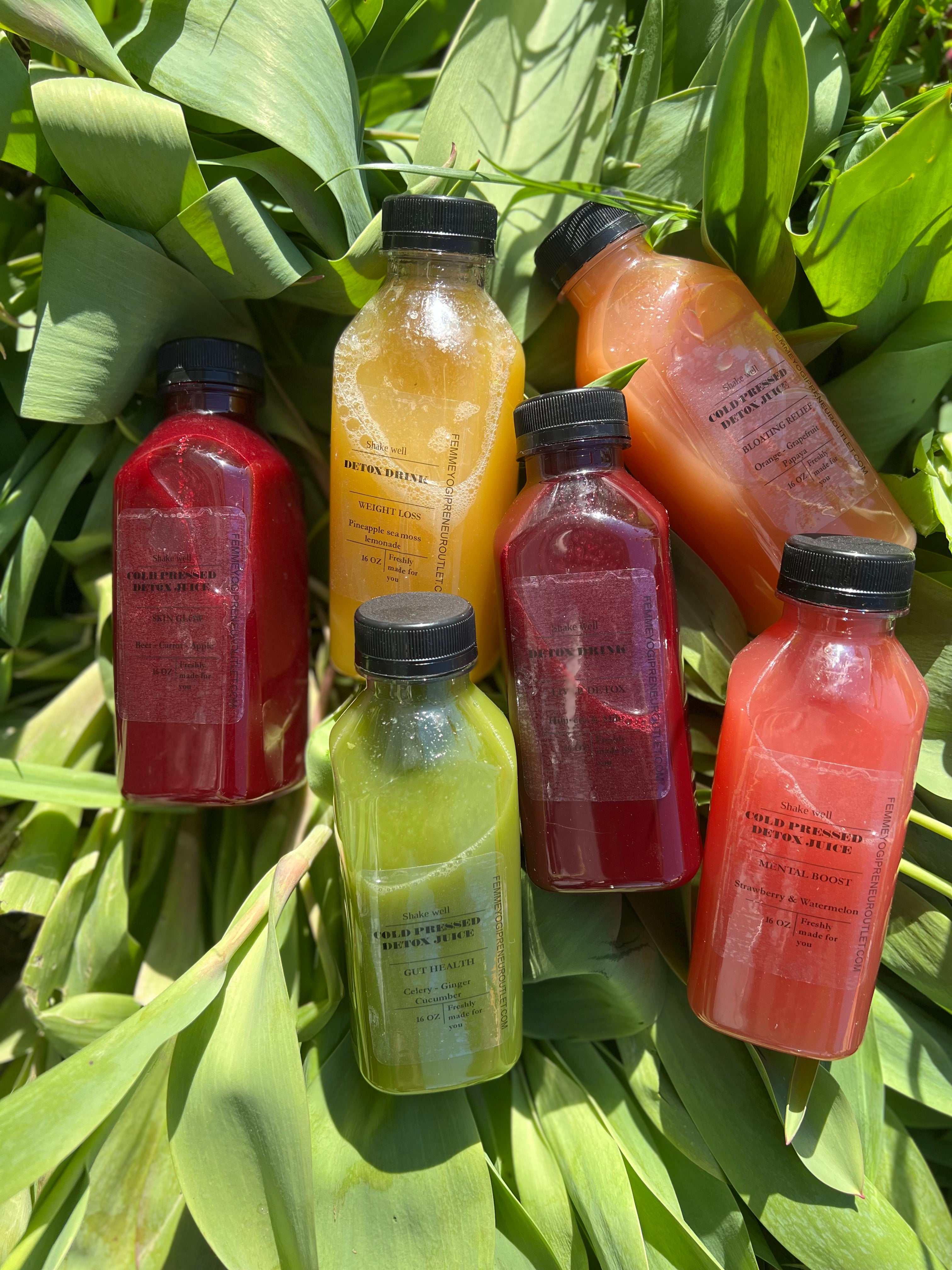 3 day organic detox juice pack