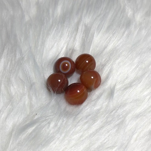 trendy carnelian tiktok