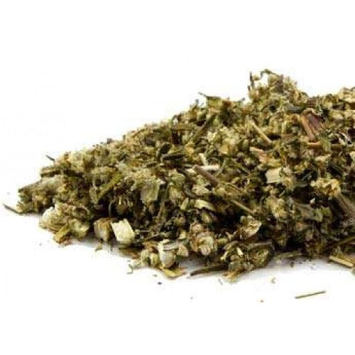 Herbal mugwort tea